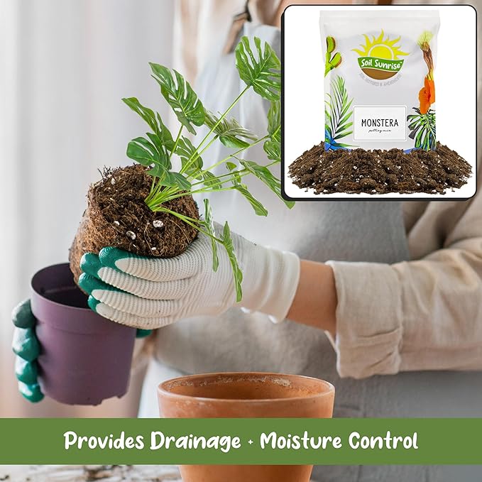 Soil Sunrise Monstera Houseplant Potting Soil Mix (8 Quarts) Custom Blend for Growing and Repotting