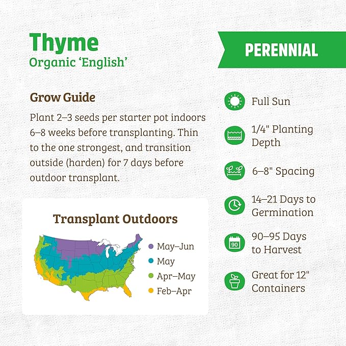 Back to The Roots 100% Organic Seed Packet - Thyme 'English' 70mg