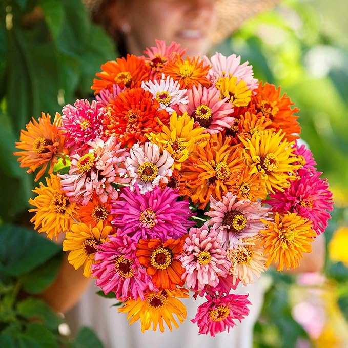 Eden Brothers Zinnia Seeds - Burpeeana Giants Mix, Non-GMO Seeds for Planting, 1 lb | Low-Maintenance Flower Seeds, Plant During Spring, Zones 3, 4, 5, 6, 7, 8, 9, 10