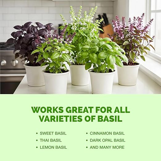 Basil Fertilizer for Basil Plant, Great for Mint, Rosemary, and Thyme, Liquid Fertilizer by TPS Plant Foods, 32 oz (1 Quart)