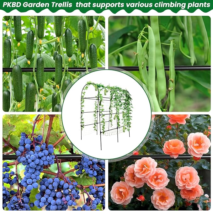PKBD Tall Garden Arch Trellis for Climbing Plants Outdoor, 7 ft Tall Polyethylene-Coated Stainless Steel Garden Arch for Climbing Vine Vegetable/Fruit/Flower, Cucumber Trellis for Raised Bed, Black
