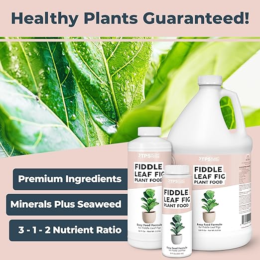 Fiddle Leaf Fig Plant Food for All Fig and Other Ficus Trees, Liquid Houseplant Fertilizer, 1 Gallon (128 oz)