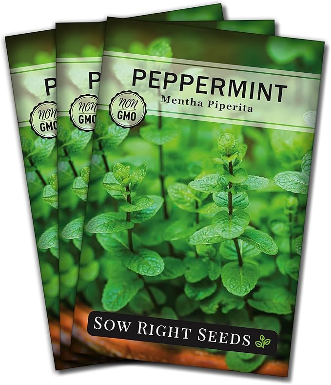Sow Right Seeds - Peppermint Seeds for Planting - Non-GMO Heirloom Packet with Instructions for Easy Planting and Growing an Herbal Tea Garden - Indoors or Outdoor - Medicinal & Culinary (3)