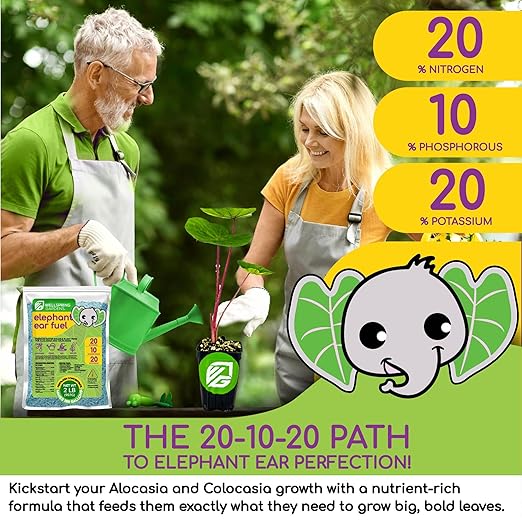 Wellspring Gardens Elephant Ear Food - Water-Soluble Plant Fertilizer - Premium 20-10-20 Blend (2 Pounds)