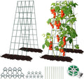 Cucumber Trellis for Raised Bed, Rifny 16.5 x 60 Inch Metal Trellis for Climbing Plants Outdoor with Plant Clips Twist Ties, Garden Plant A-Frame Trellis for Vegetable Pea Tomato (Green, 2 PCS)