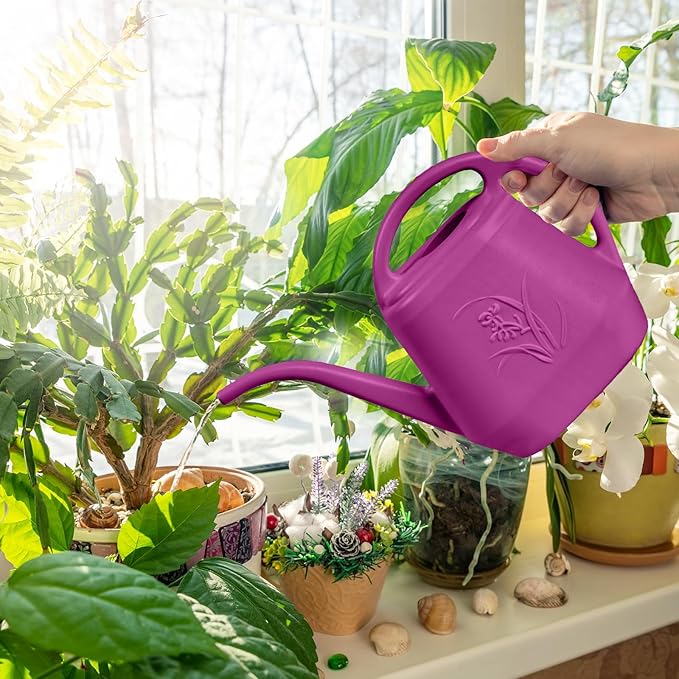 Plastic Watering Can - for Indoor and Outdoor Plant - 1/2 Gallon - Rose Red