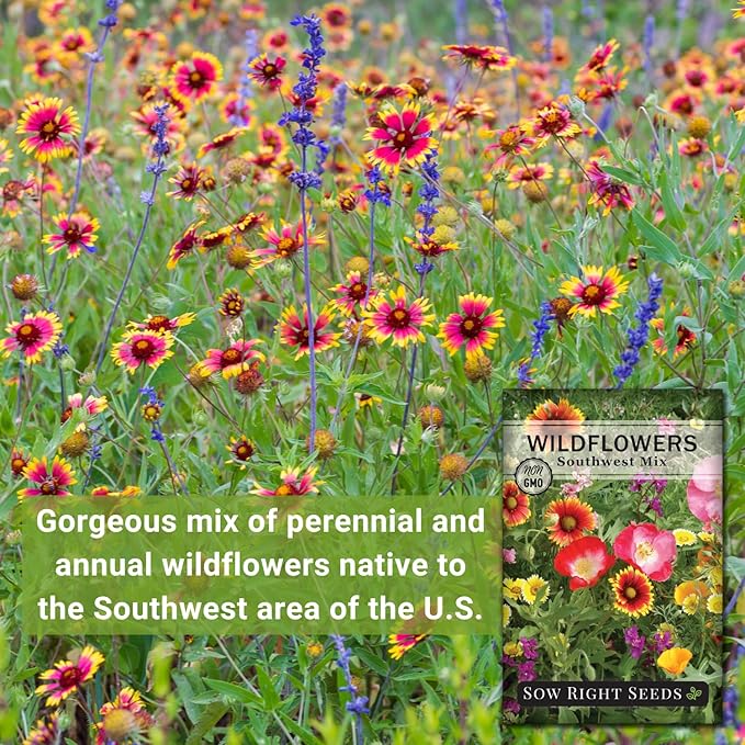 Sow Right Seeds - Wildflowers Seeds Mix for Planting in Southwest - Non-GMO Heirloom Varieties to Grow a Wild Flower Garden - Perennial and Annual Flowers to Attract Pollinators - Colorful Blooms (1)
