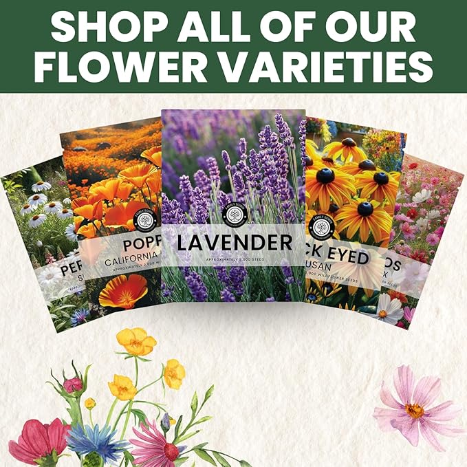 Lavender – 28,000 Seeds for Planting – 2026 Season – 1 Ounce Pouch