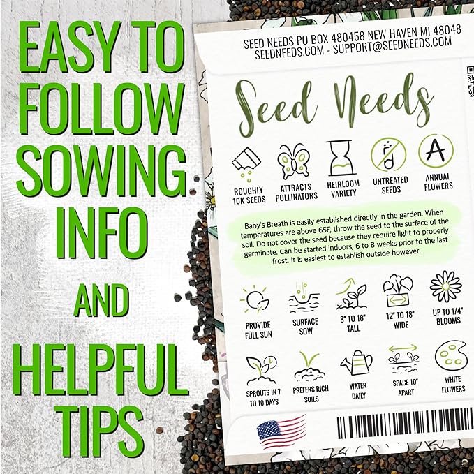 Seed Needs White Baby's Breath Seeds for Planting - Heirloom & Open Pollinated Annual Flowers - Perfect for a Butterfly Garden, Bouquets & Floral Arrangements (XL Packs)