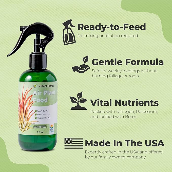 Air Plant Fertilizer Spray by Perfect Plants | Best Ready to Use Food Mist to Grow Large Tillandsia and Other Live Indoor Bromeliad Airplants (8 fl oz)