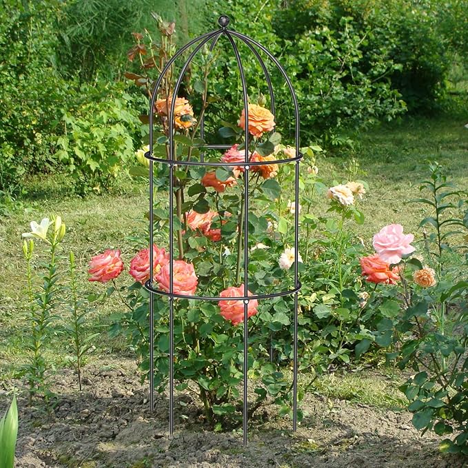 DoCred 6 Pack Metal Plant Cage Support, 47" H Peony Support Tomato Cage Garden Obelisk Trellis Supports Tower Obelisk Garden Trellis for Clematis Vine Jasmine Outdoor Indoor