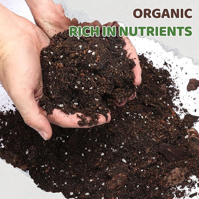 Doter Premium Snake Plant Soil Mix 10qt, Indoor Plants Potting Mix for All Potted Snake Plants, Promote Healthy Growth and Easy Care, black