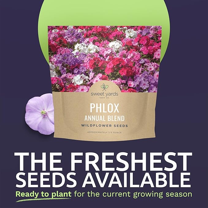 Phlox Annual Blend – Large 1/2 Ounce Seed Packet – 7,000 Flower Seeds for Planting – Phlox drummondii
