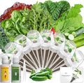 LYKOCLEAN 8-pod Salad Seeds Pod Kit for AeroGarden, iDOO, Ahopegarden Hydroponics Growing System, 350+ Seeds (Include Spinach, Lacinato Kale, Arugula, Swiss Chard, Red Leaf Lettuce, Cucumber)