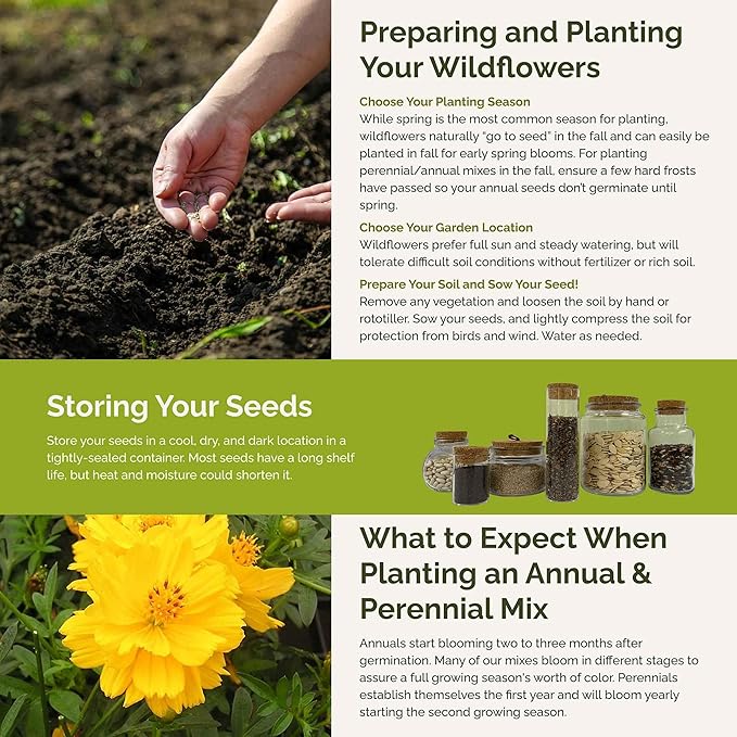Eden Brothers Ole Yeller Wildflower Mixed Seeds for Planting, 1 lb, 480,000+ Seeds with African Marigold, Sunflower | Attracts Pollinators, Plant in Spring or Fall, Zones 3, 4, 5, 6, 7, 8, 9, 10