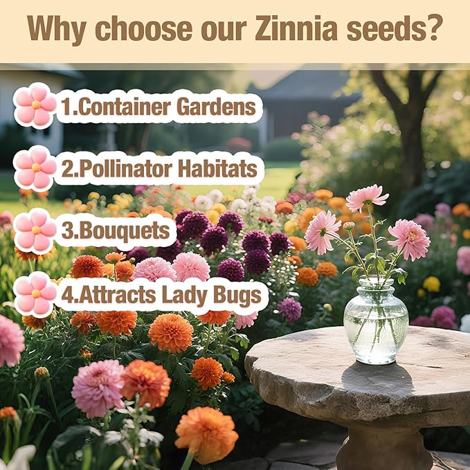 8000+ Zinnia Flower Seeds for 2026-7+ Color Mix, High Germination Rate, Perfect for Gardens, Mix Zinnia Wildflower Seeds, Mixed Colors and Large Blooms, Easy to Grow, Large 2 Ounce Packet