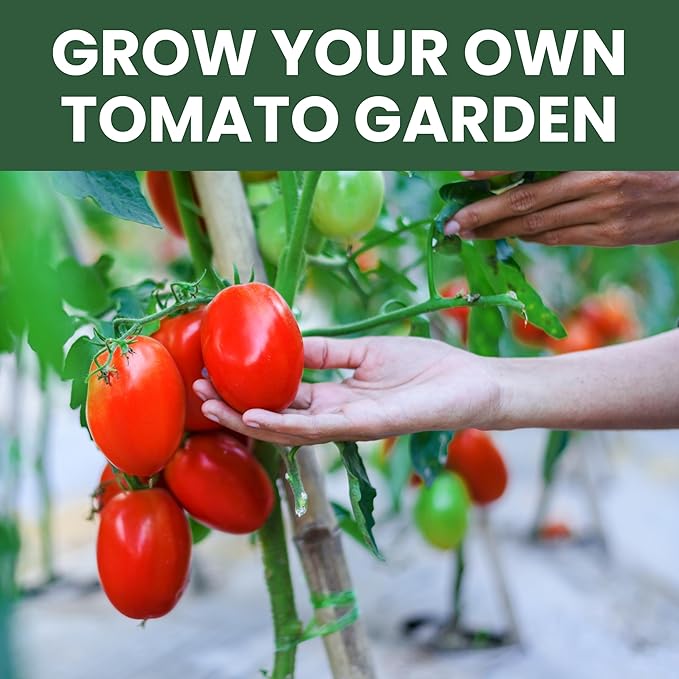 Tomato Seeds | 10 Individual Packs | 2026 Season | Non-GMO | Roma, Brandywine, Cherry & More! | for Planting Indoor & Outdoor | by Family Sown