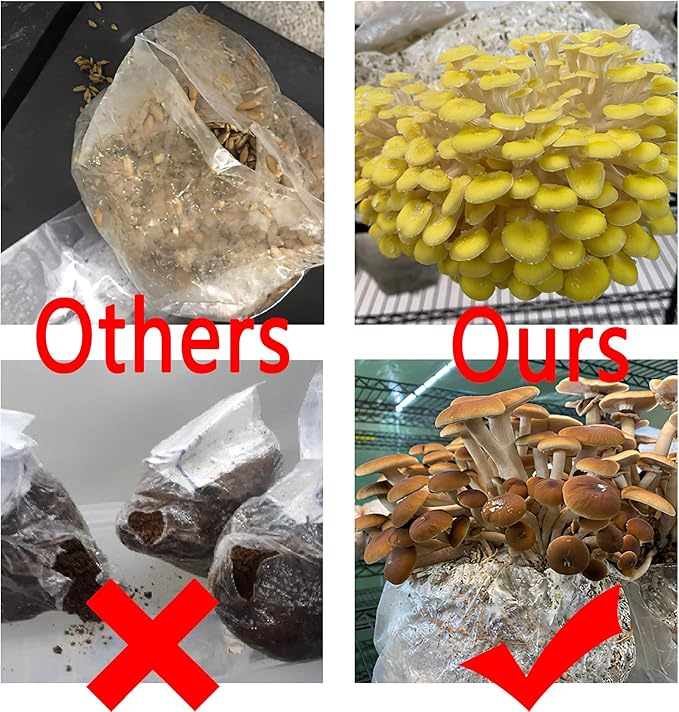 30Pcs Mushroom Grow Bags with 0.2 Micron Filter Patch, 3 Mil Polypropylene, Large Size 8" X 5" X 20" for Mushrooms and Bamboo Fungus Ganoderma Mushroom, Substrates Or Grains