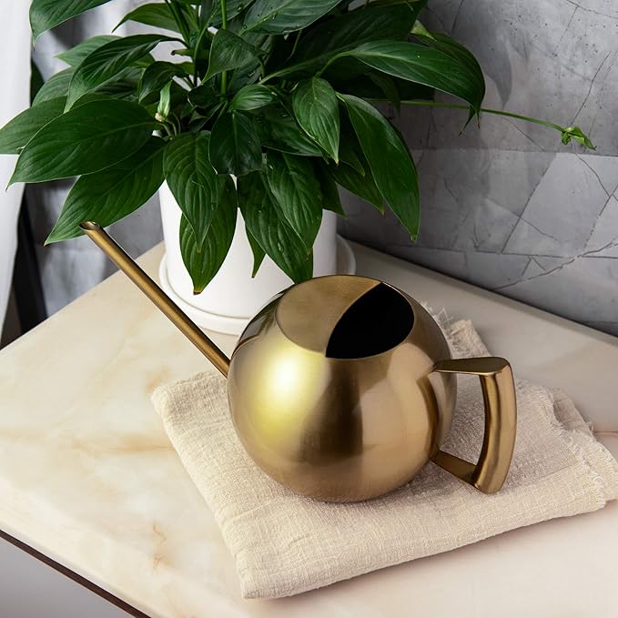 IMEEA Watering Can for Indoor Plants 45oz/1.3L Stainless Steel Small Indoor Watering Can House Plants