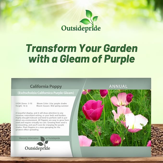 Outsidepride Purple Gleam California Poppy Seeds - 5000 Pcs. Annual, Drought-Tolerant & Easy to Grow Eschscholzia Wildflower Seeds for Vibrant Purple Blooms, Ideal for Borders & Pollinator Gardens