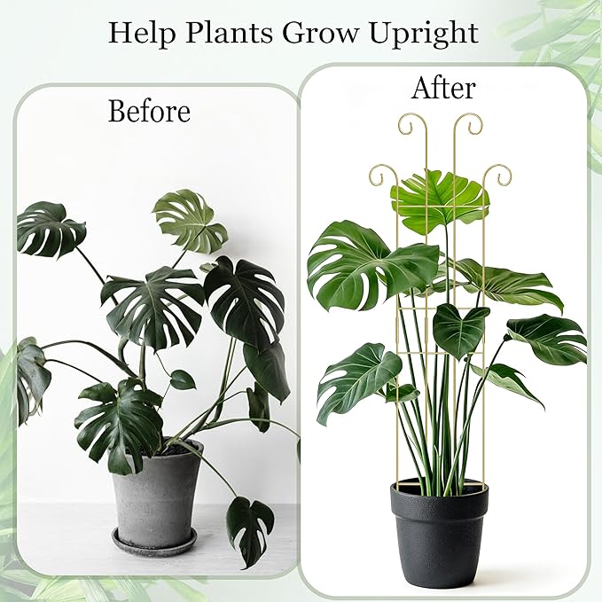 3 Set Tall Trellis for Potted Plants Indoor, 32'' Expandable Garden Metal Trellis for Climbing Plants Outdoor, Monstera Plant Support for Hoya, Vine, Ivy Pothos (Gold)