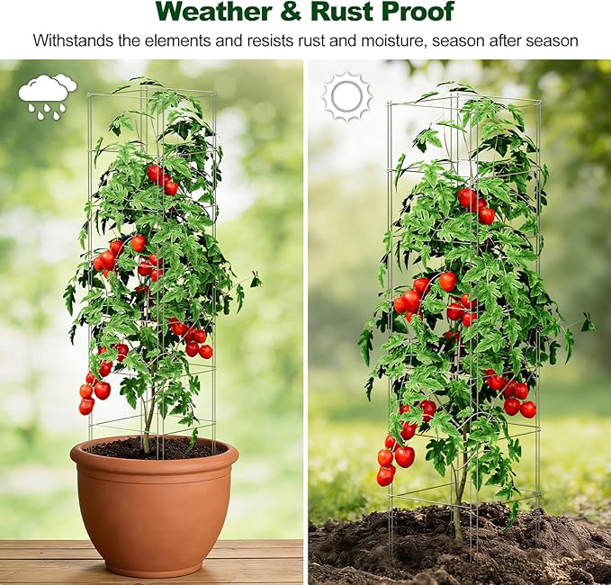 SPECILITE Square Foldable Tomato Cages 3 Pack, 13" W x 56" H Heavy Duty Galvanized Steel Plant Support Trellis for Garden, Tomatoes, Plant, Tool-Free & Rust Resistant for Outdoor Use (Include Gloves)