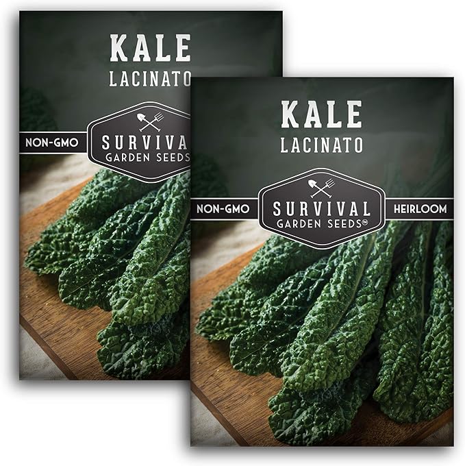Lacinato Kale Seeds for Planting Outdoors or Indoors – Heirloom Dinosaur Tuscan Kale Variety – Cold Hardy Green for Fall & Spring Vegetable Gardens - Survival Garden Seeds (2 Packs)