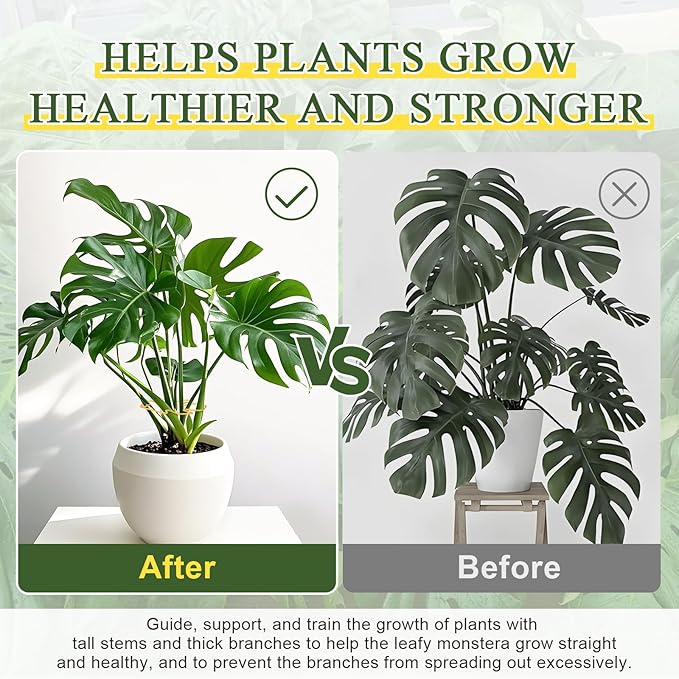 5PCS Monstera Plant Support, Metal Plant Supports Plant Stem Holder Durable Sturdy Plant Stabilizer for Indoor Plants Climbing Plants Outdoor Moss Pole Thriving Growth (Gold)