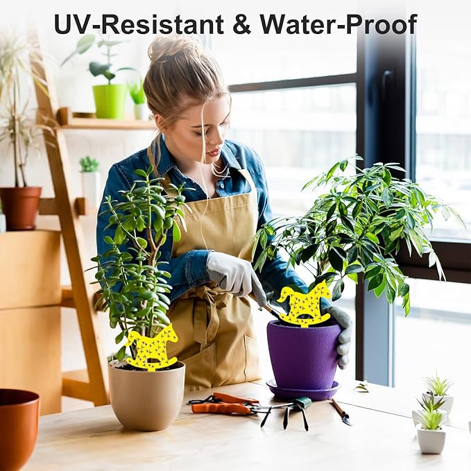 36PCS Fruit Fly Sticky Traps Fungus Gnat Traps Insect Trap for Plants Kitchen Indoor Outdoor White Flies Mosquitos Fungus Gnats Flying Insects Houseplant Gifts (Rocker Shape)