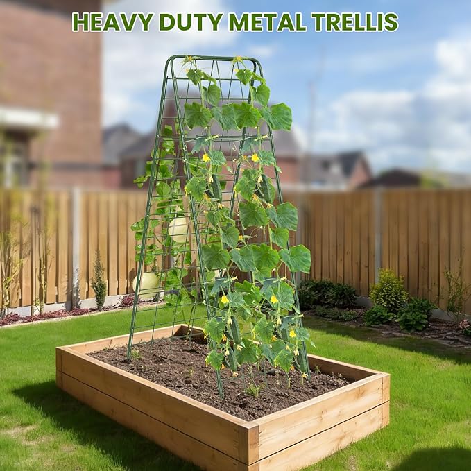 Heavy Duty A-Frame Metal Garden Trellis for Climbing Plants, 50"x17" Inch Tall Plant Support with Clips & Garden Ties for Cucumbers, Squash, Beans & Vines (2)