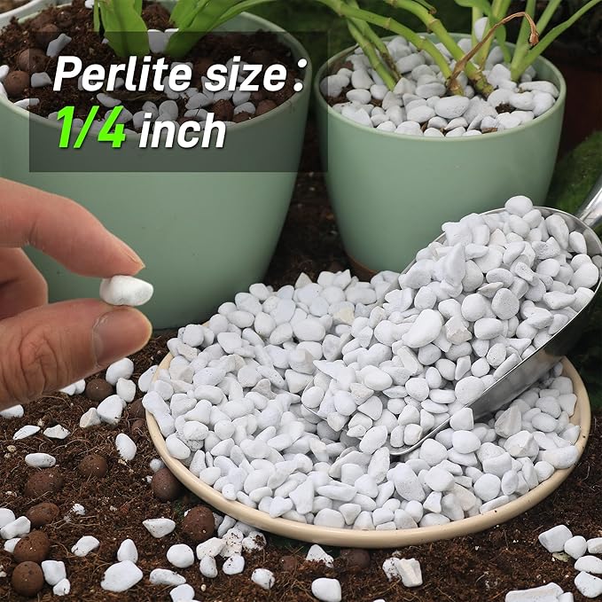 3 Quarts Chunky Perlite for Plant Soil Amendment for Potting Soil, Improves Drainage and Aeration for Soil, Ideal for Succulents, Orchid, Flower Plants (1/4 inch)