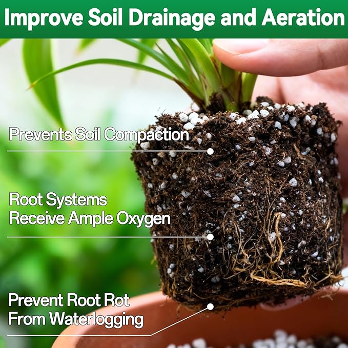 ZeeDix 6QT Organic Perlite Horticulture Soil Amendment for Plants, 3-9mm Granule Size Potted Plant Soil for Orchid Cactus Succulents Carnivorous Monstera Repotting, Indoor Outdoor Gardening