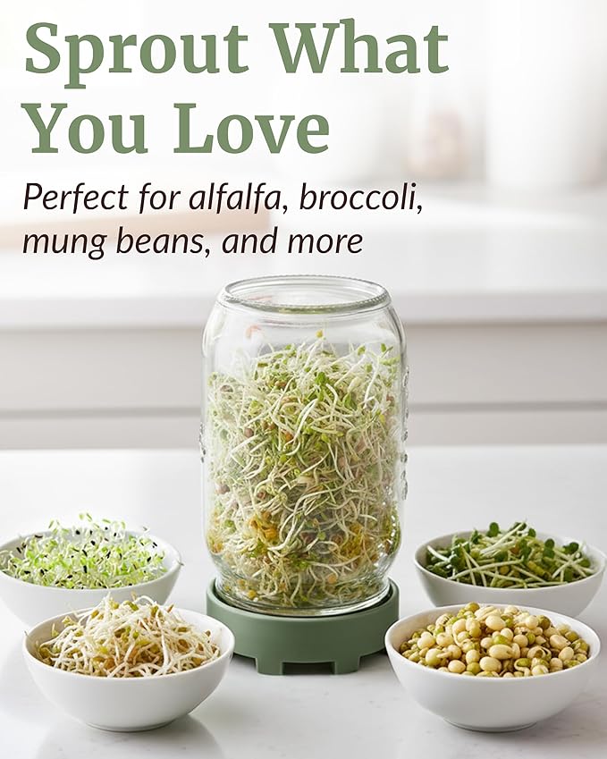 Elementi Sprouting Jar Kit - Set of 2 Wide Mouth Mason Jars with Sprout Lids & Stainless Steel Mesh Screen - Seed Sprouting Kit & Sprout Jars for Growing Broccoli Sprouts, Alfalfa, Mung Bean Sprouter