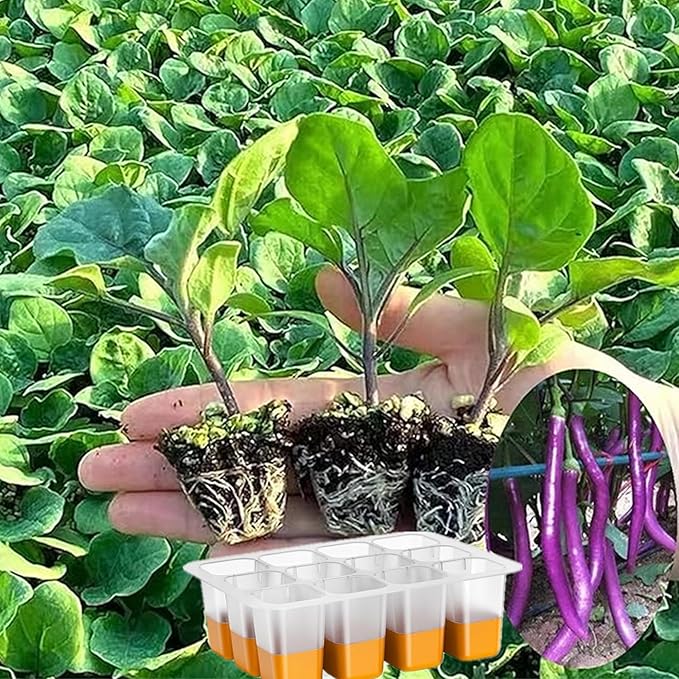 5pcs Seed Starter Tray, Silicone Seeding Starter with Pop-Out Cells (60 Cells in Total), Plant Growing Trays for Seed Starter, Indoor Seeding Planting Growing(5PCS,Orange)