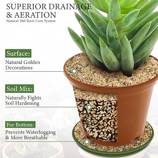 8LB Horticultural Sand for Succulents and Cactus Soil, 1-2mm Natural Coarse Sand for Plants, Multi-Purpose Silica Horticultural Grit for Aquarium, Vase Filler, Fire Pit & Garden Decor