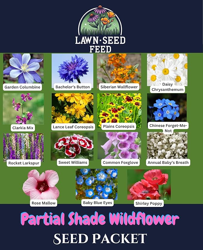 Partial Shade Wildflower Mix - (Seed Packet) - Bring Color to Low-Light Areas That Thrive with Dappled Sun, producing Vibrant Blooms in Yards, Garden beds, Fence Lines, and Woodland Edges.