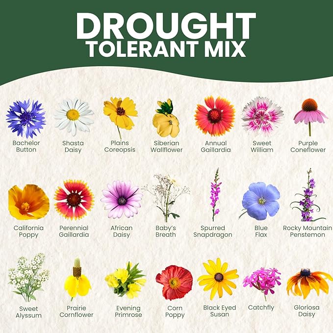 Drought Tolerant Mix – 4,000 Seeds for Planting – 2026 Season – 5 Gram Pouch