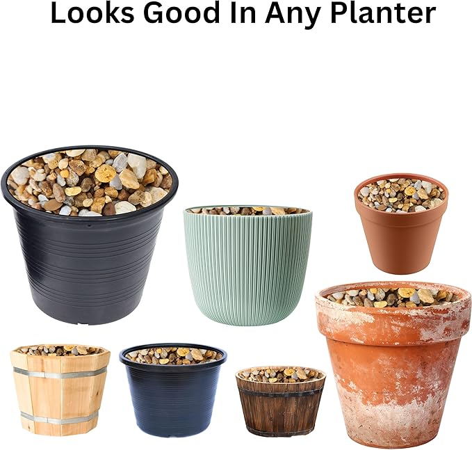 Versatile River Rocks & Garden Stones for Outdoor Landscaping - Ideal Decorative Rocks for Plants Indoor & Outdoor, Pea Pebbles, Landscaping Stones. Half-Quart