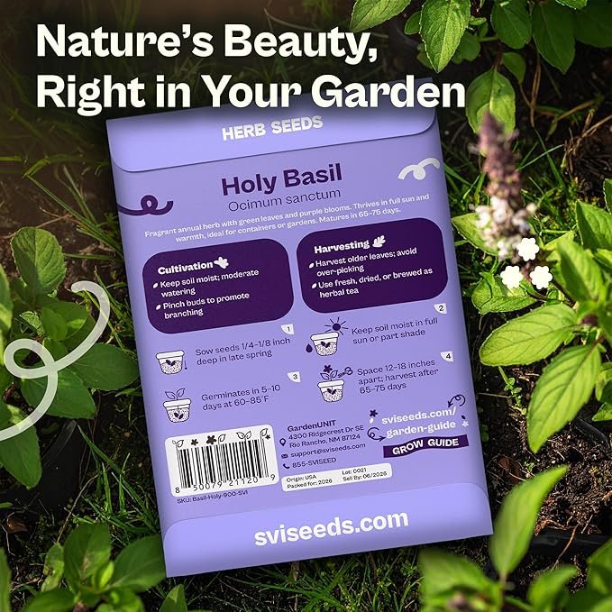 SVI 900 Holy Basil Seeds (Ocimum Sanctum) – Sacred Krishna Tulsi Seed Packets, Fragrant, Edible Basil – Non GMO Heirloom Herb Seeds for Outdoor & Indoor Herb Garden