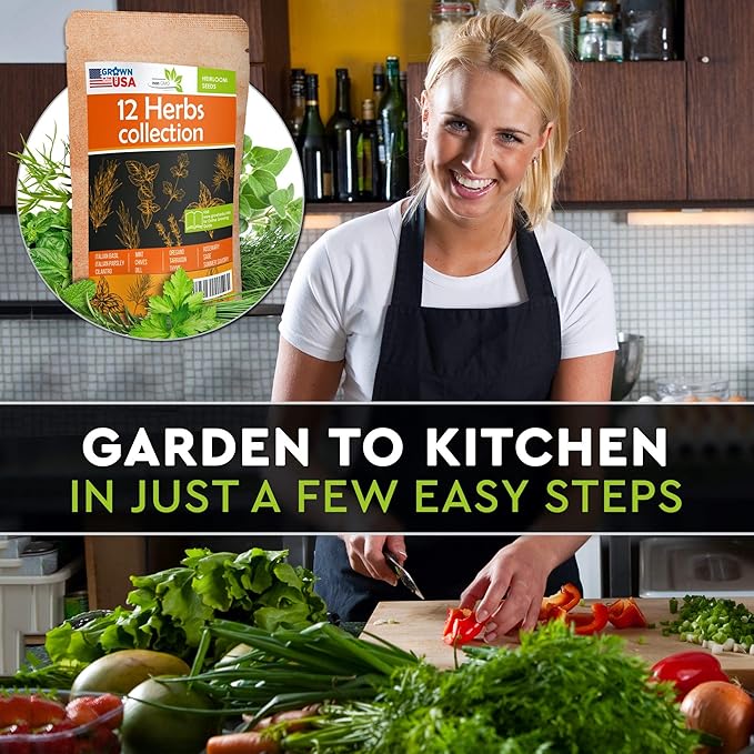 12 Culinary Herb Seeds Pack - Heirloom and Non GMO, Grown in USA - Indoor or Outdoor Garden - Basil, Parsley, Dill, Cilantro, Rosemary, Mint, Thyme, Oregano, Tarragon, Chives, Sage & More