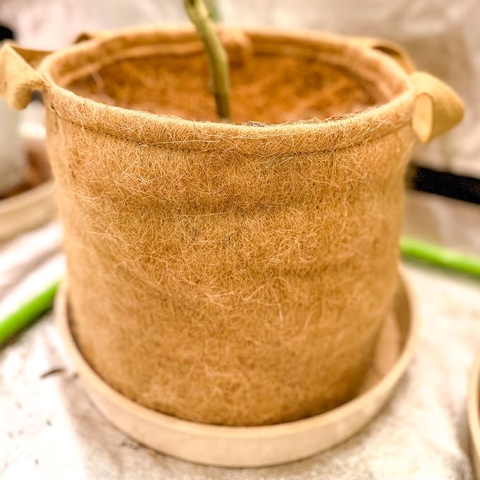 Non-Woven Jute Fabric Grow Bag with Handles, Biodegradeable Pot, 100% Natural Fiber, Breathable, Fast Root Growth, Available in 3 & 5 Gallon. (1, 3 Gallon)
