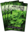 Sow Right Seeds - Marjoram Seeds for Plantin - Non-GMO Heirloom Packet with Instructions to Grow A Beautiful Herb Garden - Plant Indoors and Outdoors - Savory Culinary Herb in The Kitchen (3)
