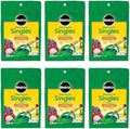 Miracle-Gro Watering Can Singles Includes 24 Pre Measured Packets (6 Pack)