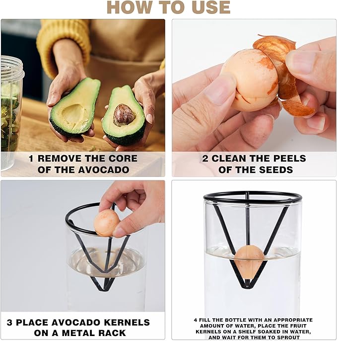 Avocado Tree Growing Kits, Avocado Growing Vase Wooden Base Avocado Seed Starter Vase Glass Plant Pot Easy Seed Sprout Starter Gift for Women Gardening Lovers Home Office Table Decoration