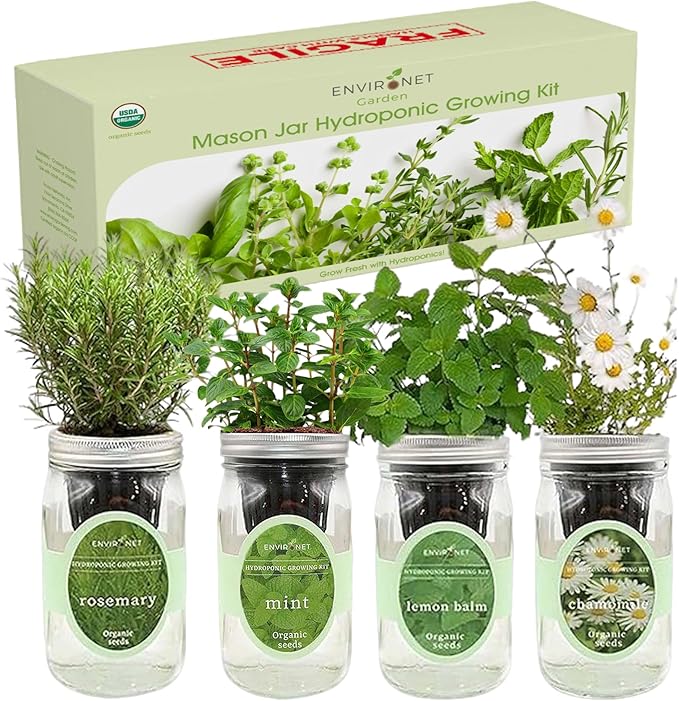 Hydroponic Mason Jar Organic Herbal Tea Seed Starter Kits - Herbal Tea Garden Growing Kits, Gardening Gift, Grow Your Own Herbal Teas Indoor (Chamomile, Mint, Lemon Balm, Rosemary)