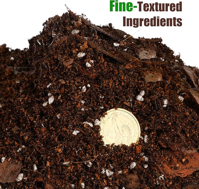 Doter Organic Money Tree Soil Mix 10qt, Indoor Plants Potting Mix for All Potted Money Tree, Grow Healthy houseplants Indoors