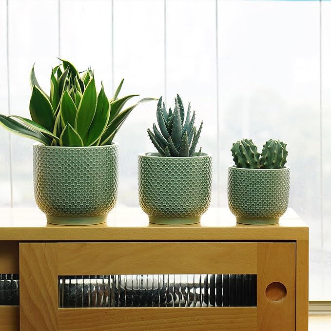 4 + 5 + 6 Inch Ceramic Pots for Indoor Plants, Succulents Plant Pots, Orchid Flower Pot with Drainage Hole, Modern Clay Stoneware Planters, Set of 3 (Green, 4+5+6 Inch)