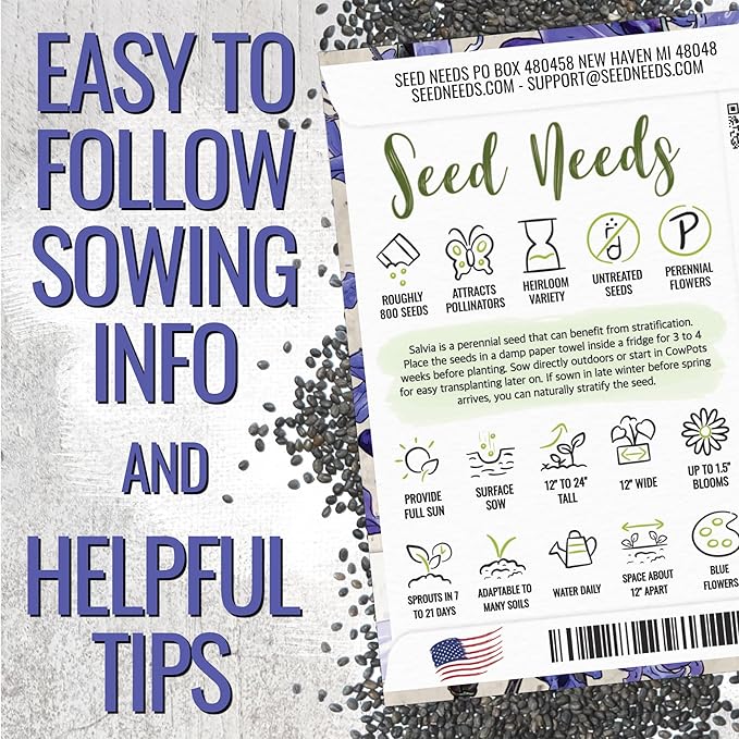Seed Needs Sapphire Blue Sage Seeds for Planting - Heirloom & Open Pollinated Salvia - Grow a Butterfly Garden with Perennial Flowering Plants (2 Packs)