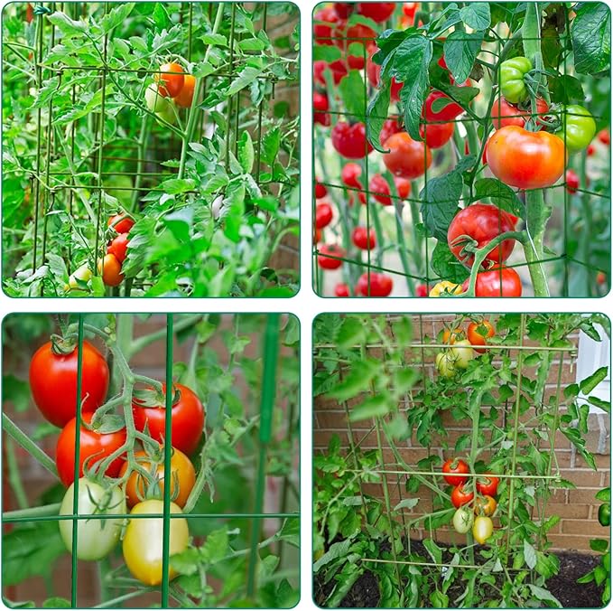 DoCred 4 Pack Tomato Cage, Folding Tomato Cage Heavy Duty Metal Square Tomato Cages Coated Steel Garden Plant Support Stake Tower for Climbing Vegetables, Plants, Flowers, Steel Green