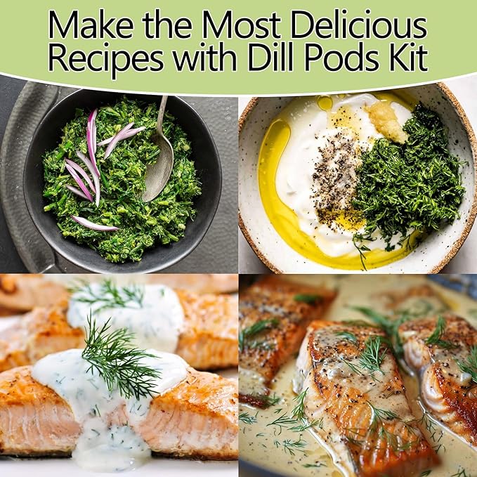 Dill Seed Pods for All Hydroponics Growing Systems, 12 Pods Herb Kit with 400+ Seeds of Dill, Grow Your Own Herb Garden at Home